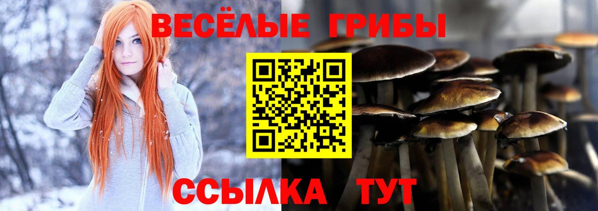купить наркотик  Псилоцибиновые грибы Psilocybine cubensis  Вход с VPN  Галлюциногенные грибы мухоморы  Сунжа 